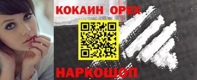 прущие крисы Гатчина