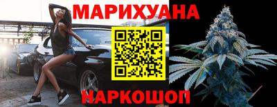 прущие крисы Гатчина