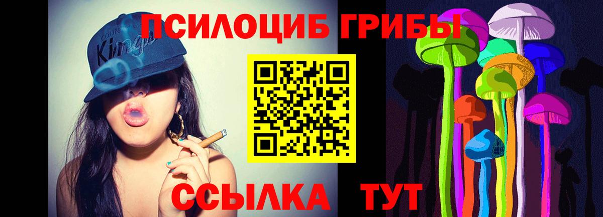 Электрогорск  Псилоцибиновые грибы мухоморы  Галлюциногенные грибы Psilocybine cubensis  Вход с VPN 